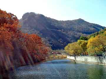 新澳天天开奖资料大全旅游团，布鞋套